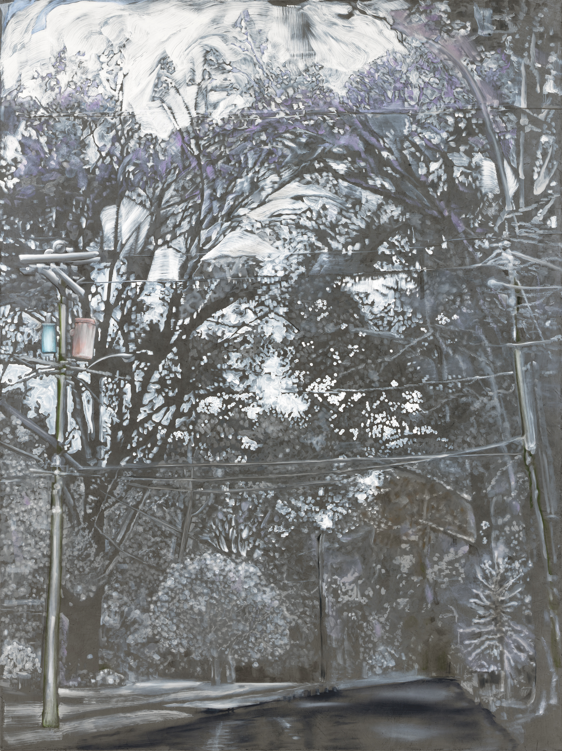 snow in Charlotte