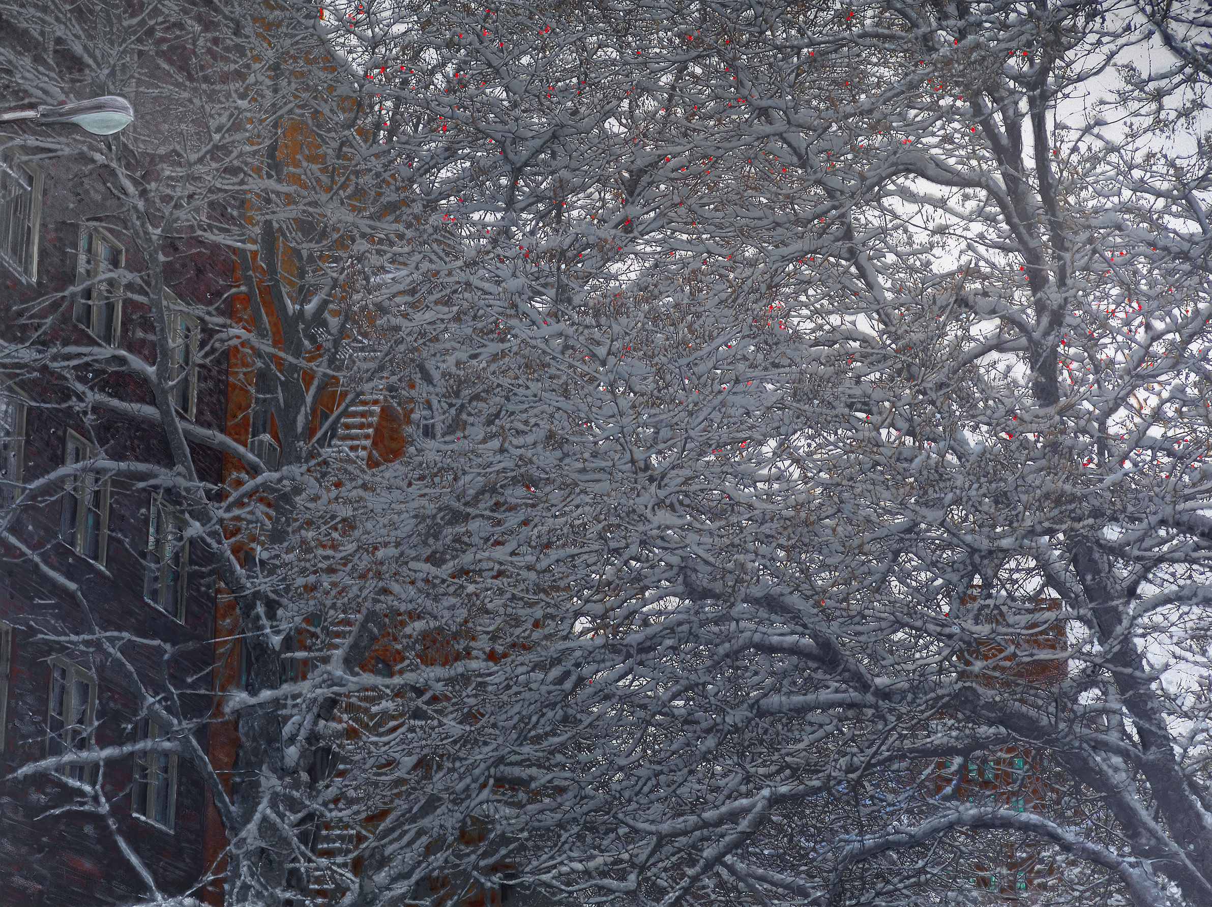 snow on 16th St