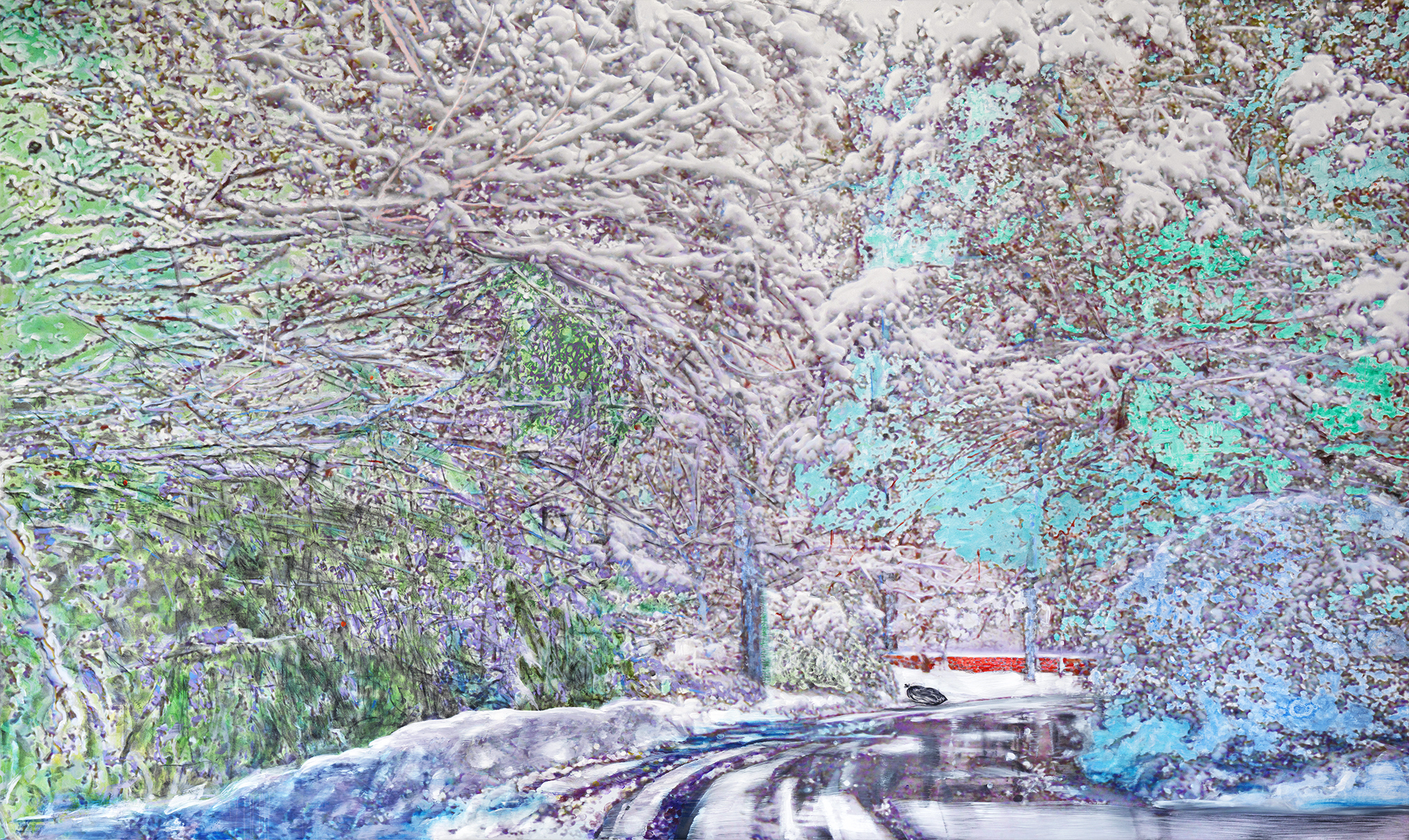 snow in Charlotte